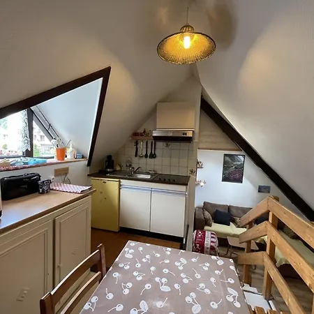 Expo Sud Au Pied Des Pistes, 2* Avec Cuisine Equipee, Tv Et Lave-linge - - Fr-1-787-3 Apartamento Laveissière