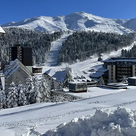 Expo Sud Au Pied Des Pistes, 2* Avec Cuisine Equipee, Tv Et Lave-linge - - Fr-1-787-3